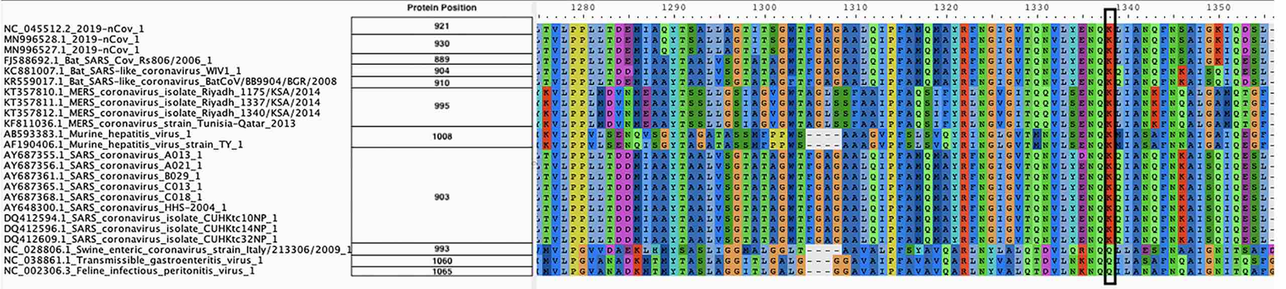 COVID-open-data Publication