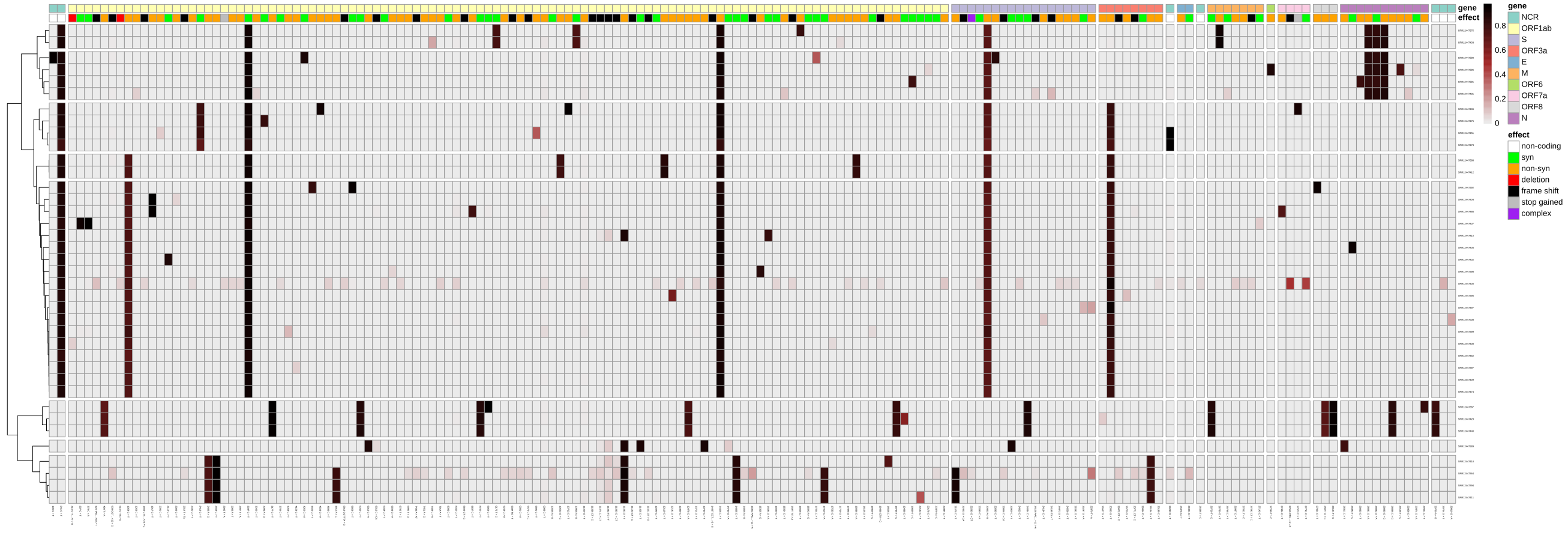 Variant allele frequency plot