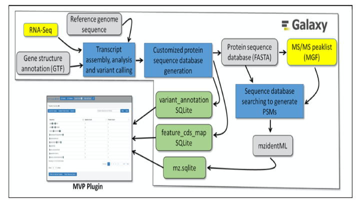 Input Schema