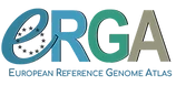 ERGA project logo
