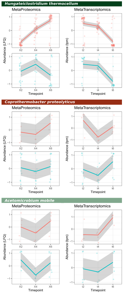 META-P META-T QUANTIFICATION FIGURE