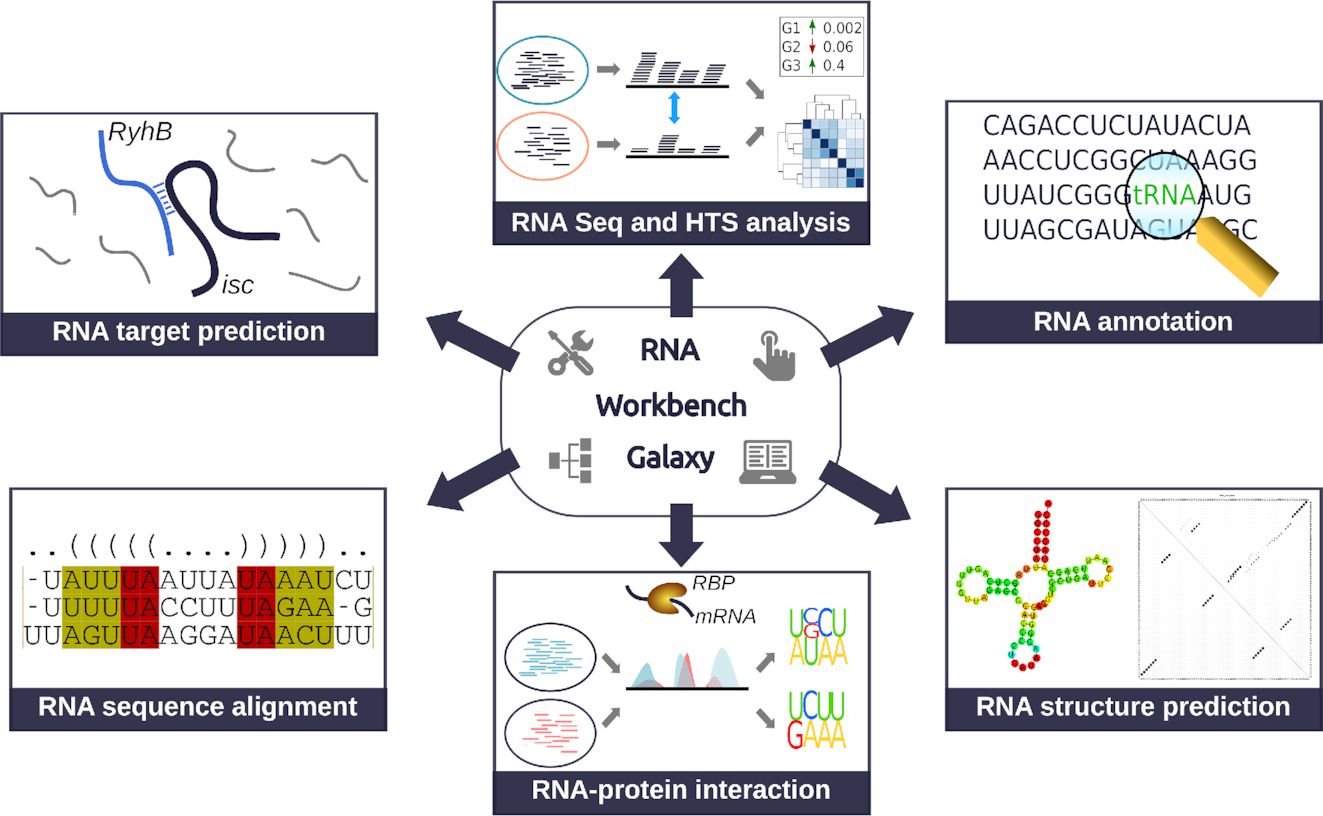 RNA Workbench 2.0