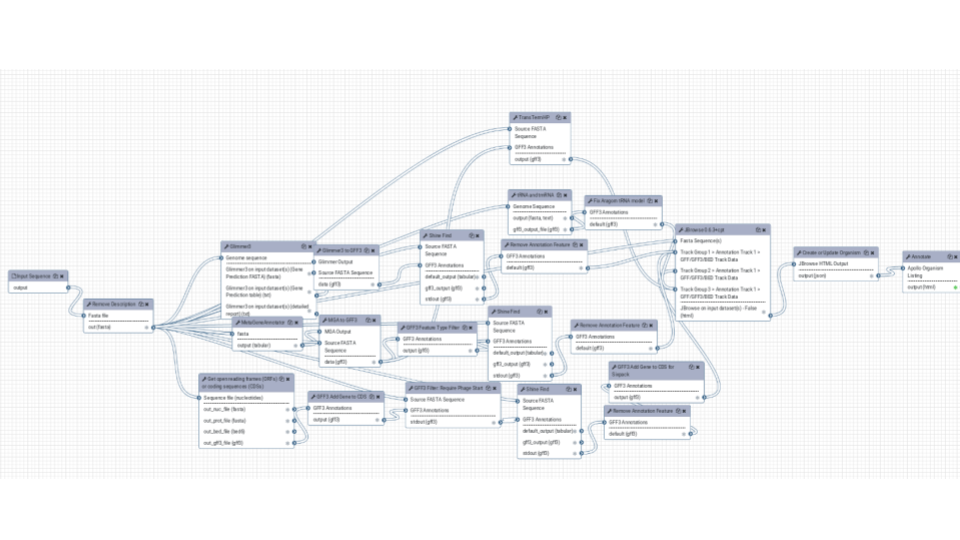 structural annotation with Galaxy and Apollo