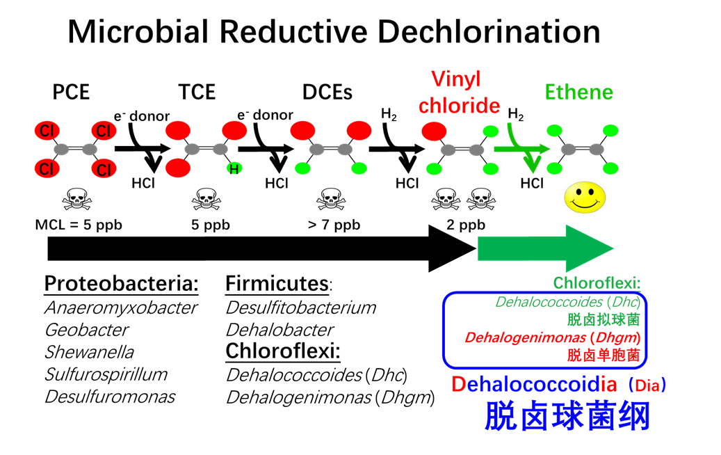 yi-yang-use-case