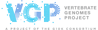 VGP