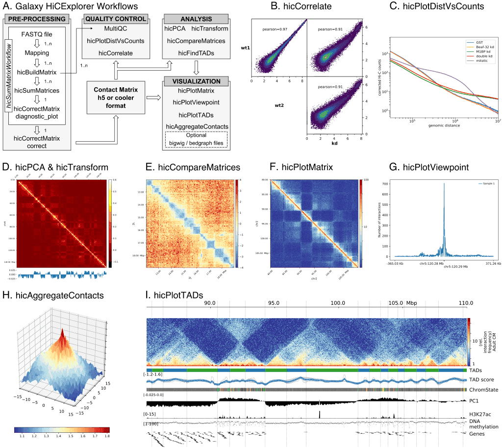 Publication Plots