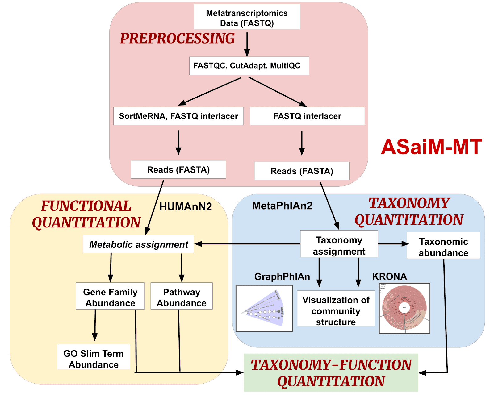 ASaiM-MT workflow