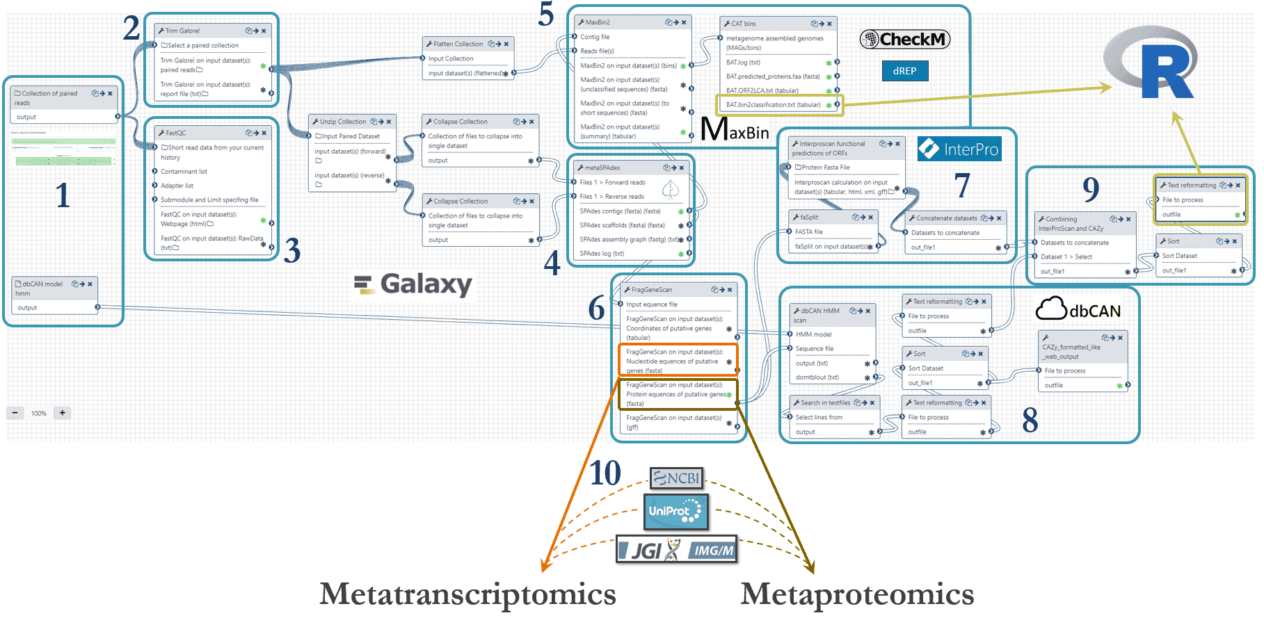 Magnus metagenomics workflow