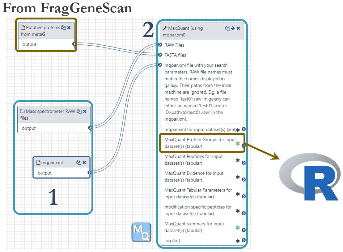 Magnus metaproteomics workflow