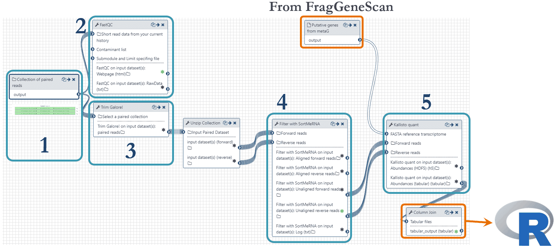 Magnus metatranscriptomics workflow