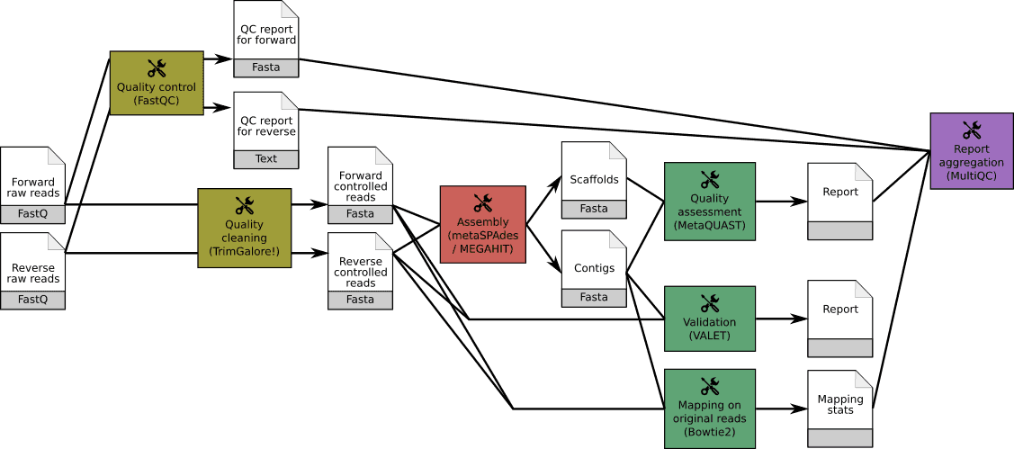 ASaiM assembly workflows