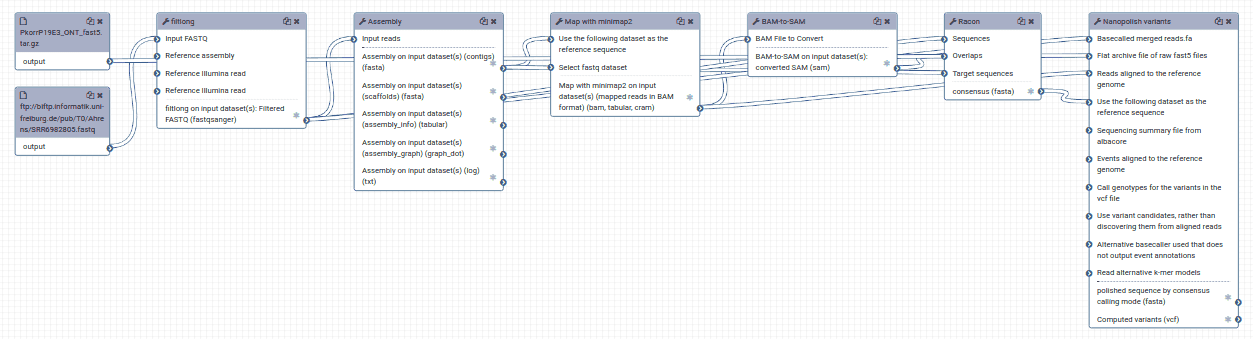 NanoGalaxy Ahrens workflow