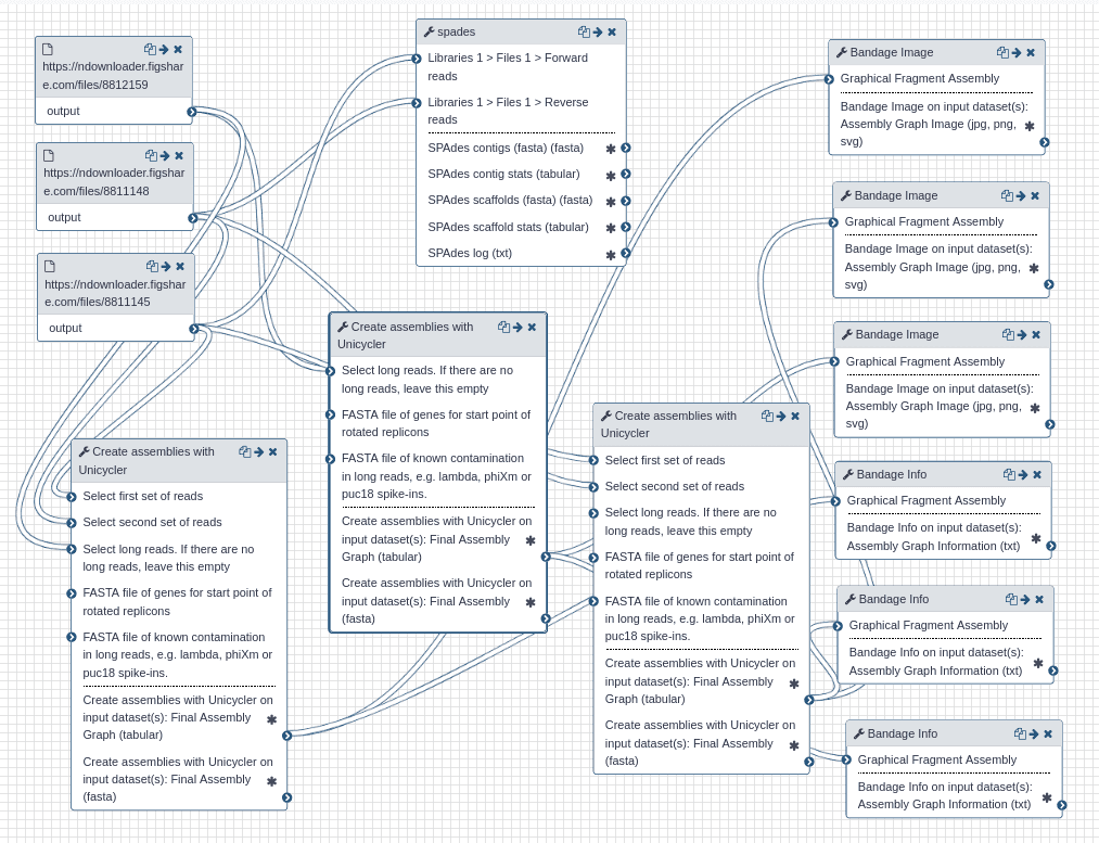 Wick et. al workflow
