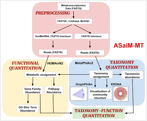 ASaiM paper, figure 1, showing workflow