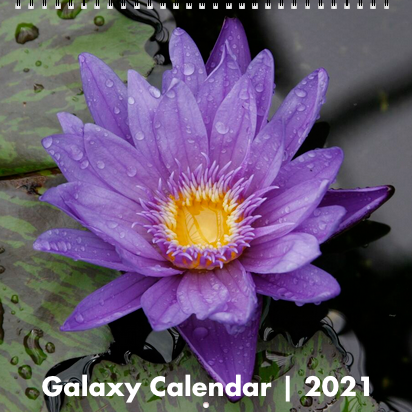Calendar picture