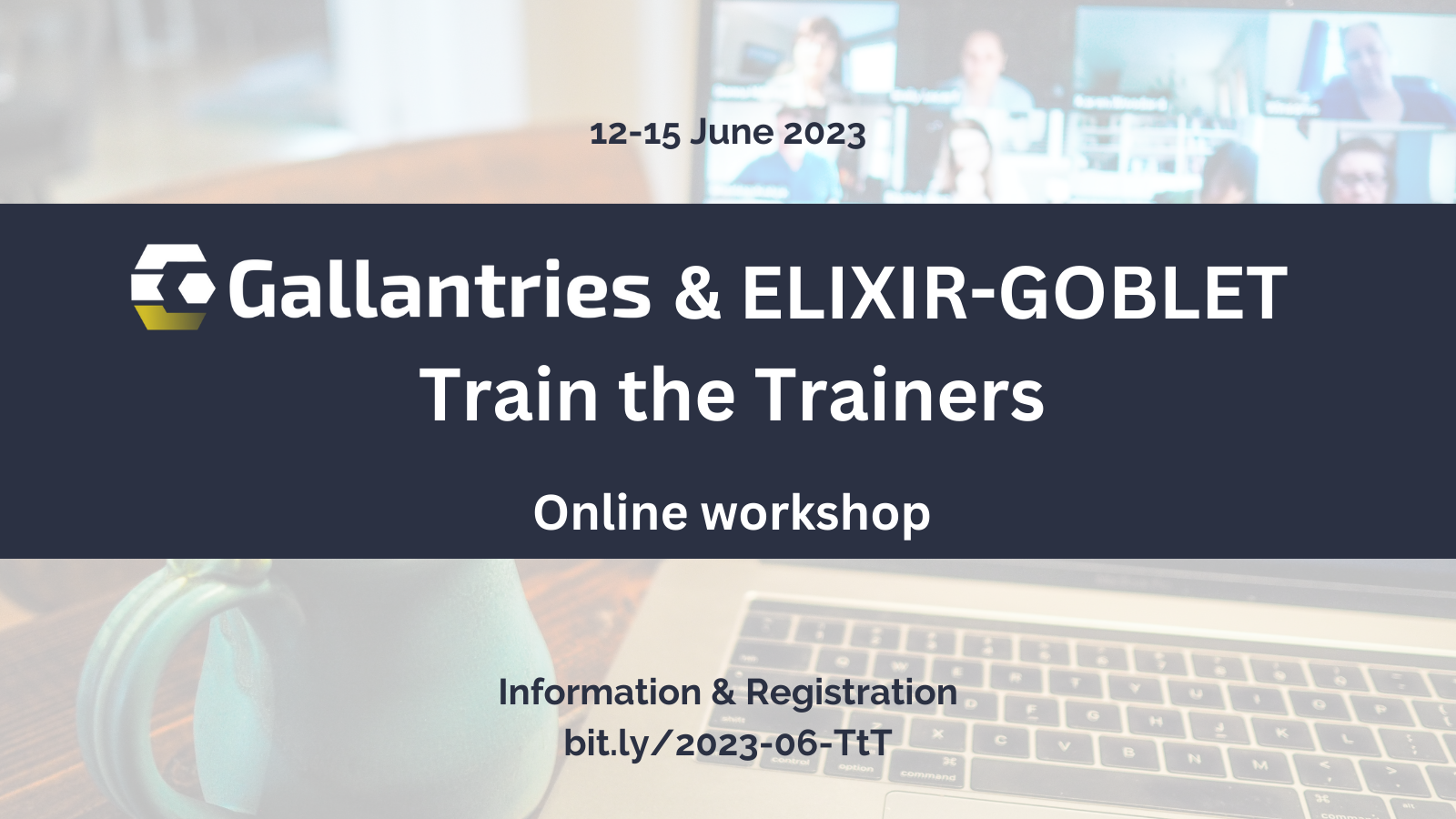 Flyer for the Gallantries & ELIXIR-GOBLET Train the Trainers