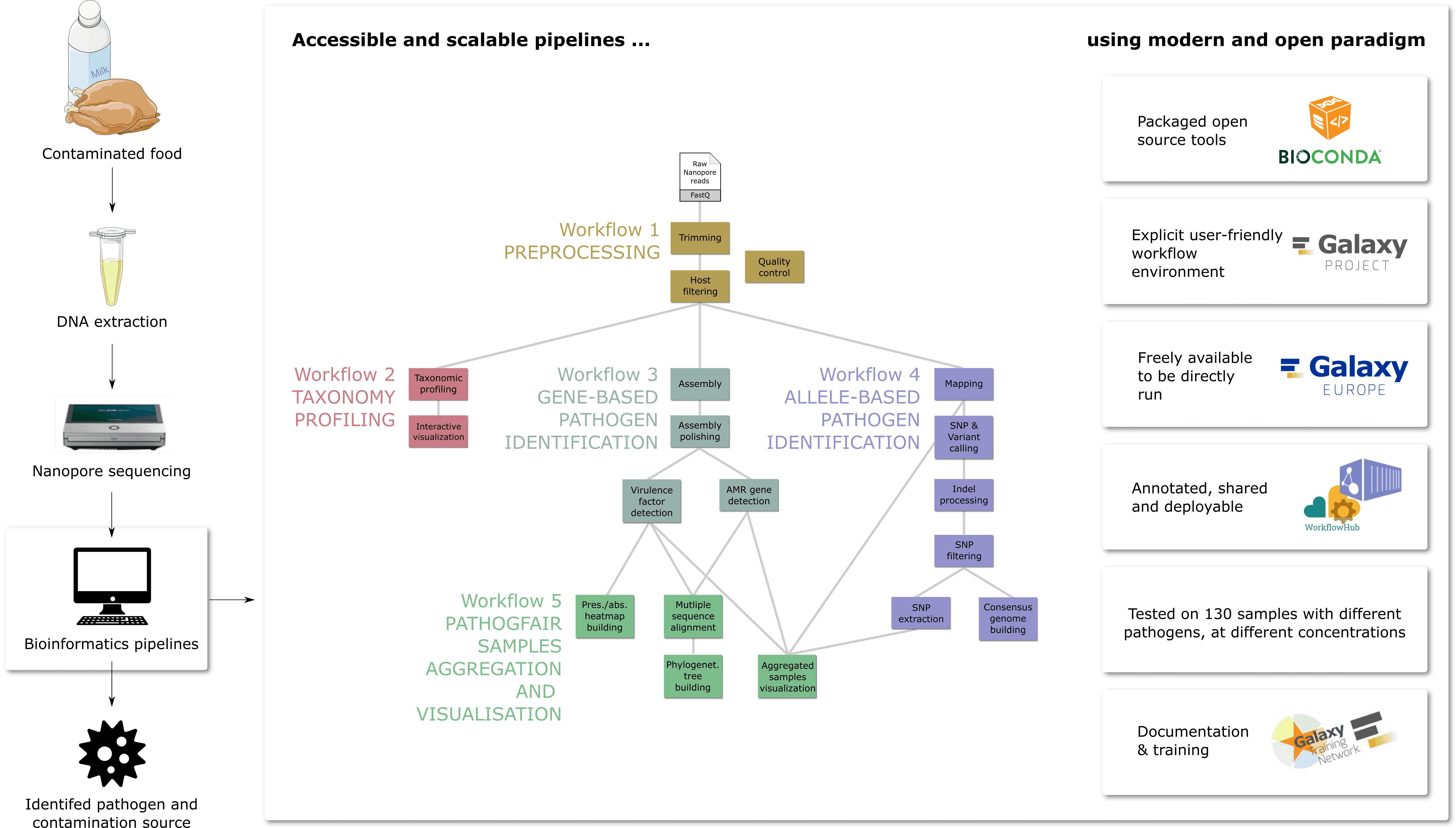 Graphical abstract showing in which pathogen investigation step the workflows are applied, on the left side. Then in the middle, is a summary of all 5 workflows forming PathoGFAIR (Preprocessing, Taxonomy Profiling, Gene-based Pathogen Identification and Allele-based Pathogen Identification). Finally on the right side, the workflows features are highlighted