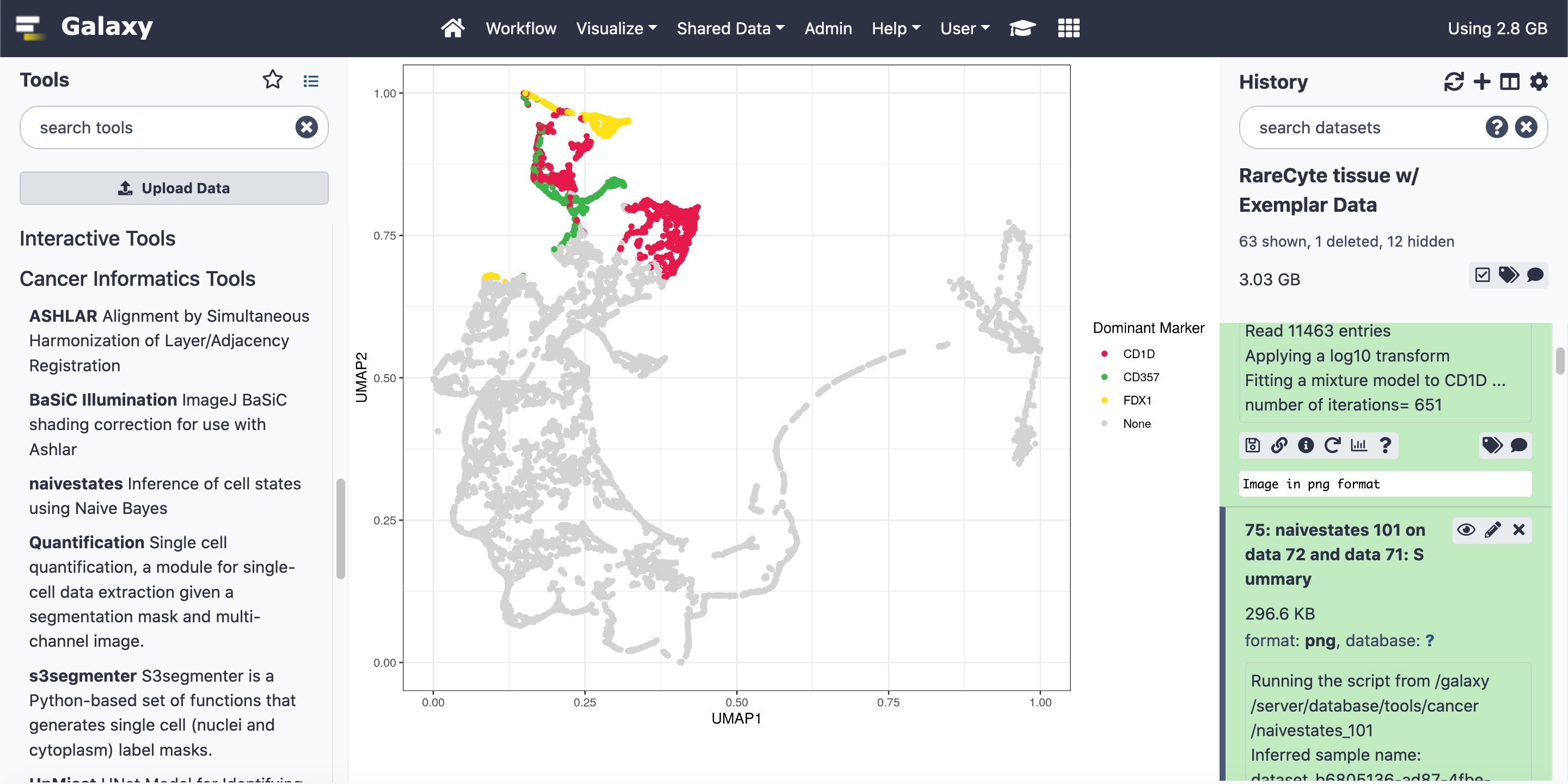 A completed MCMICRO run showing a map of cell-states