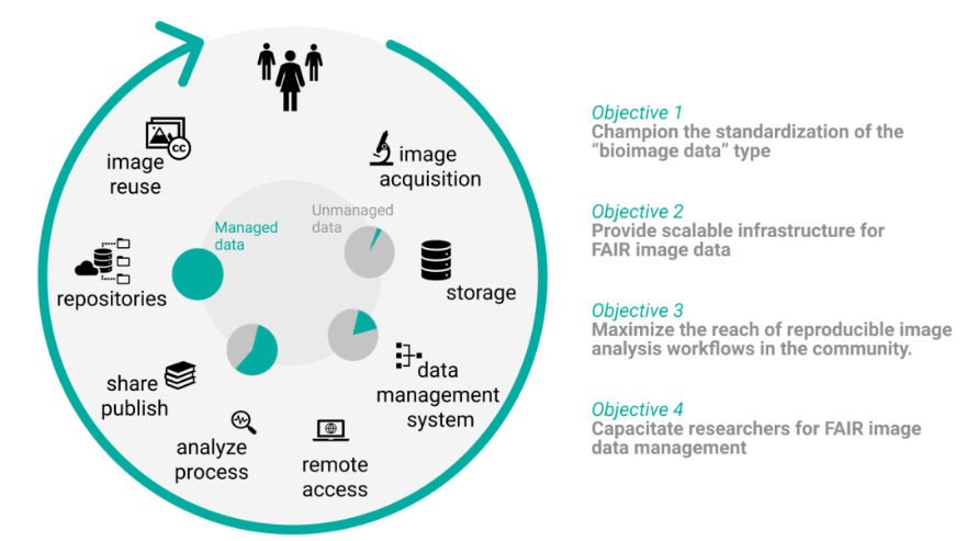 Project Overview