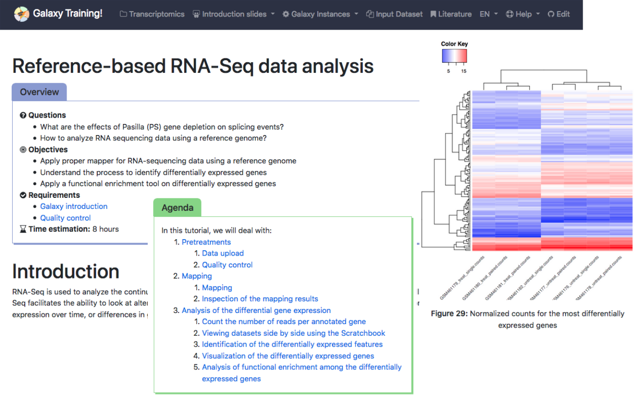 Reference based RNA-seq overview