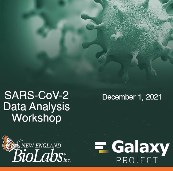 SARS-CoV-2 Data Analysis and Monitoring with Galaxy