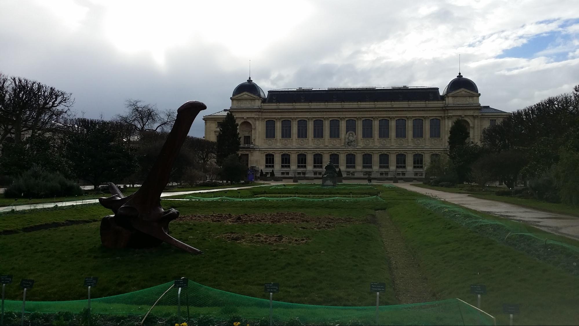 My other lab Jardin des Plantes in Paris