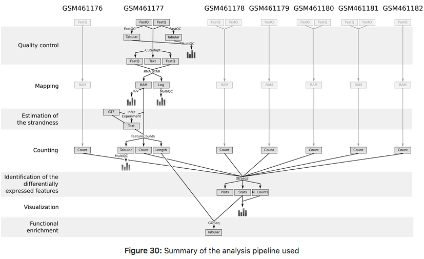 ref-based RNA-seq pipeline