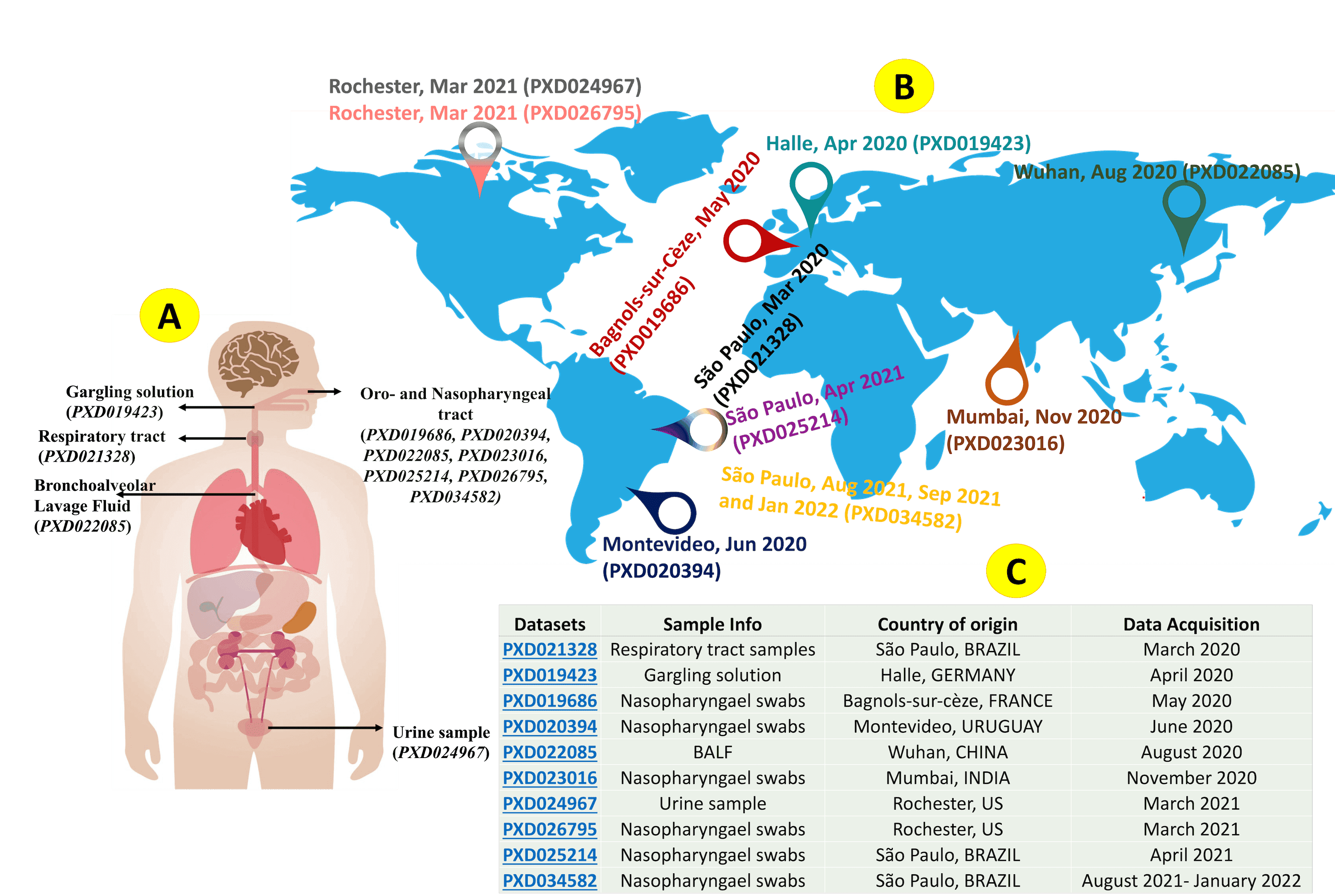 Demographics of the clinical datasets