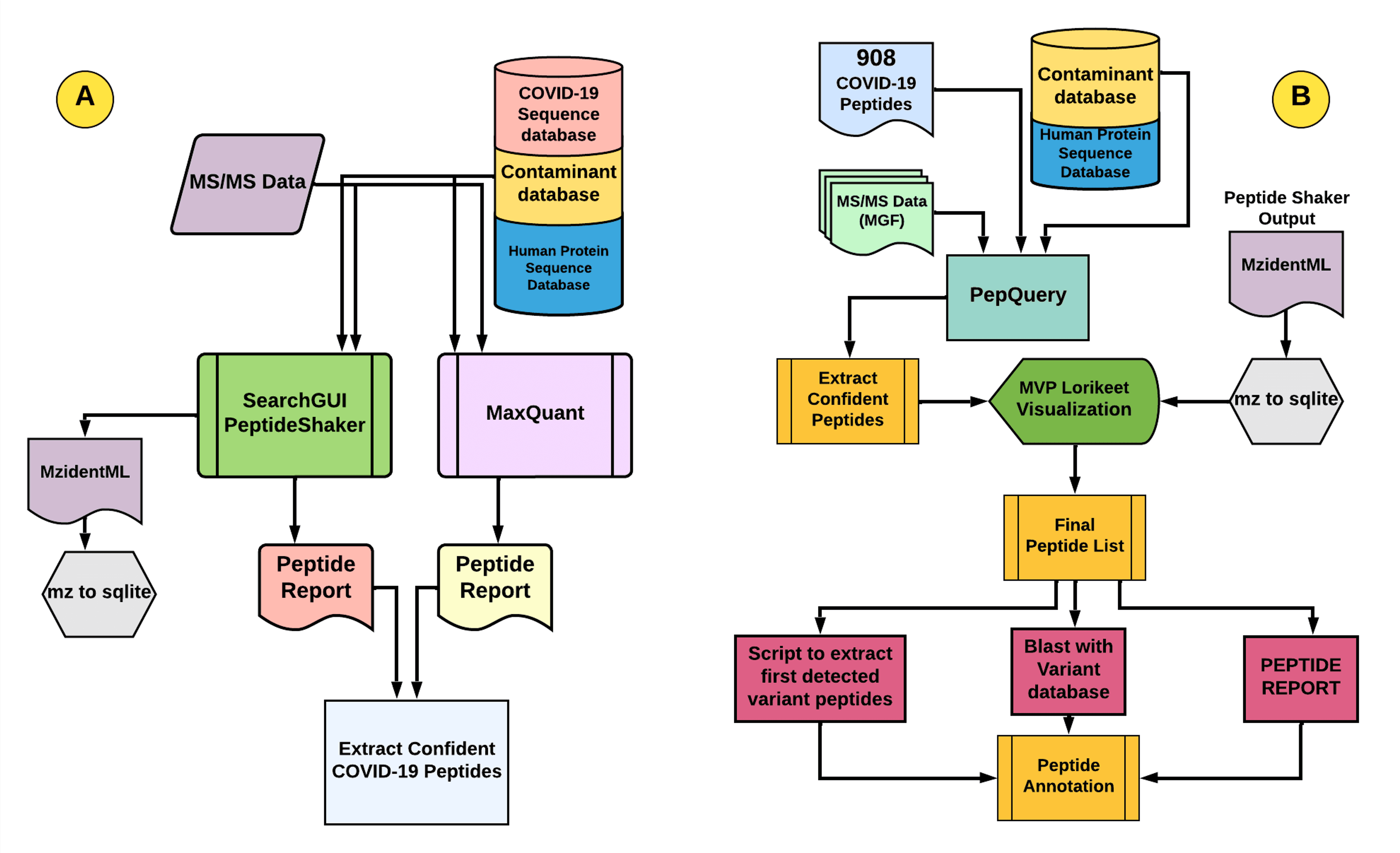 Galaxy Discovery & Verication Workflow