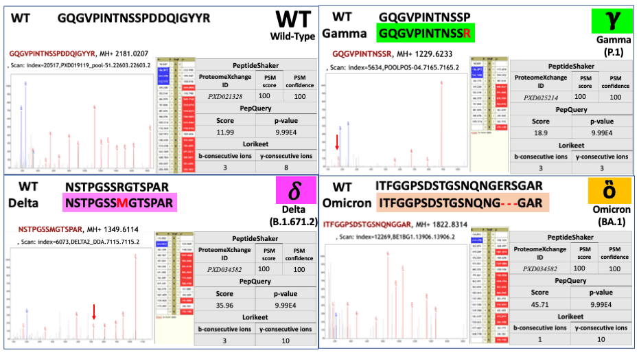 MS/MS spectra of the Peptides belonging to WHO strains