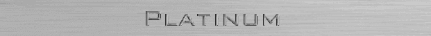 Platinum Sponsor
