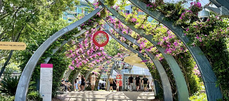 https://commons.wikimedia.org/wiki/File:South_Bank_Grand_Arbour,_South_Bank_Parklands,_Brisbane,_2020,_02.jpg