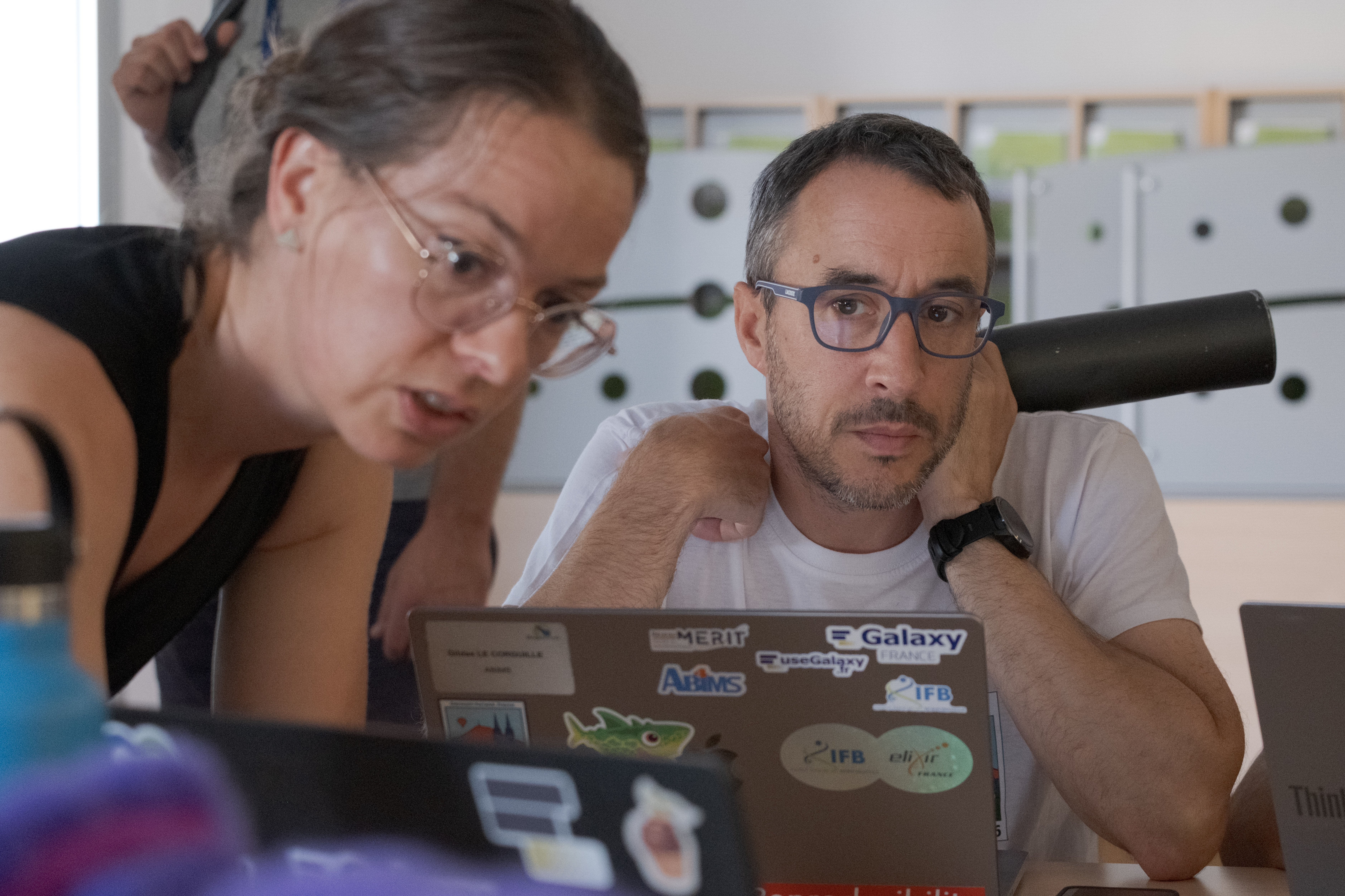 CoFest participants working on the Galaxy CoDex project.