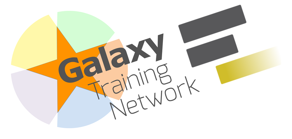 Galaxy Training Network