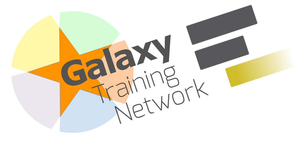 Galaxy Training Network