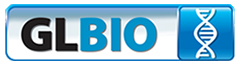 Great Lakes Bioinformatics Conference (GLBIO) 2013