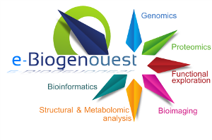 Introduction à l'analyse de données RNAseq sous Galaxy