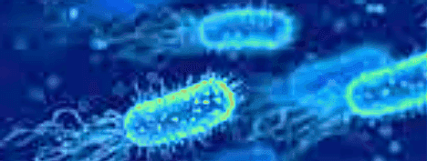microGalaxy
