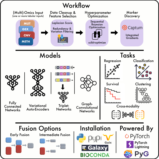 graphical abstract