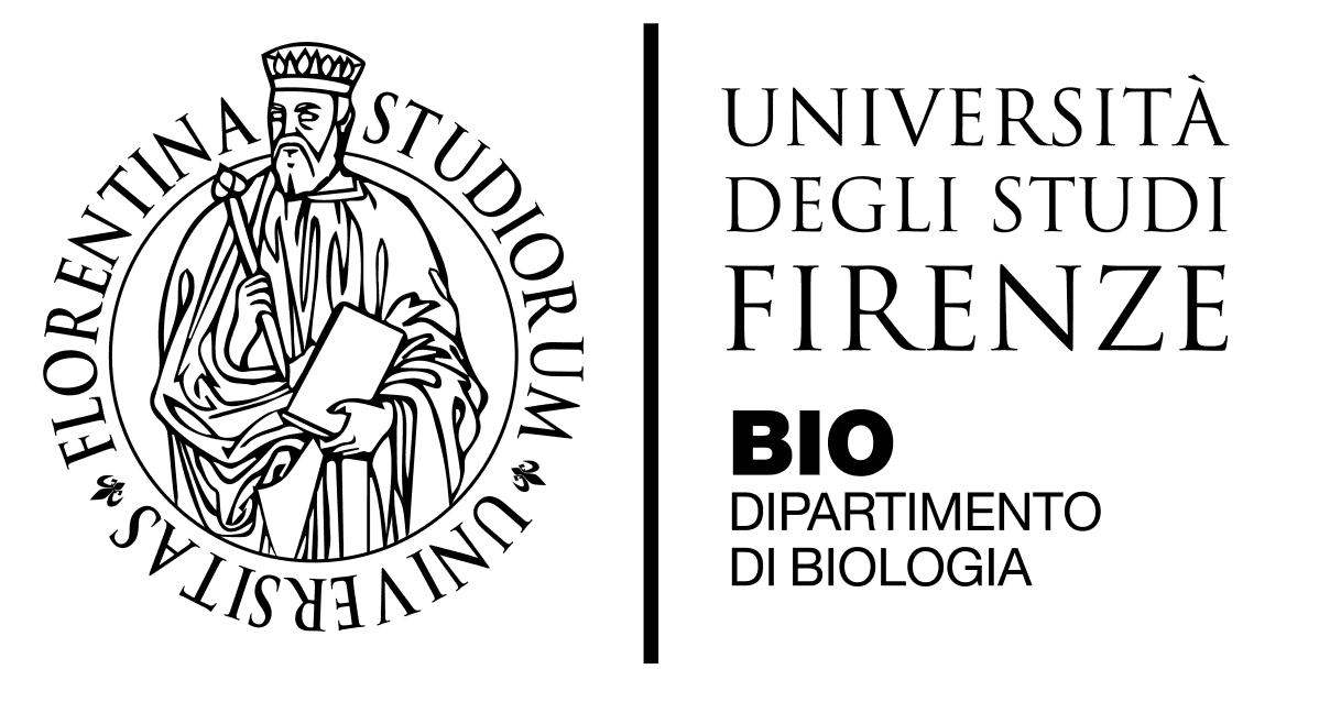 Università degli Studi di Firenze