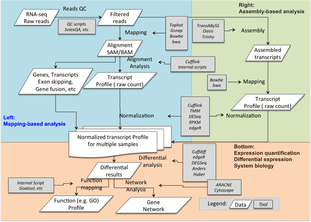 RNA-Seq Portal - Analyzing RNA-seq Data for Agricultural Animal Species