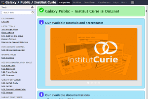 Insitut Curie
