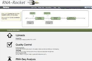 RNA-Rocket @ Pathogen Portal