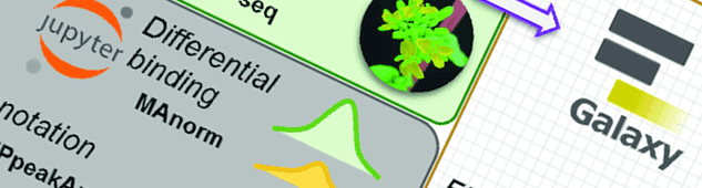 Epigenomics with Galaxy and Jupyter