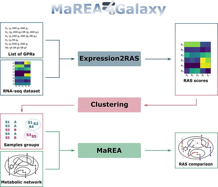 MaREA4Galaxy