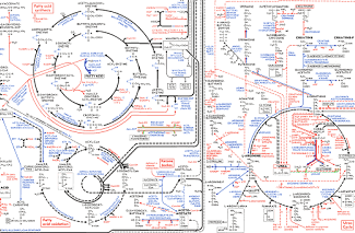 Metabolomics