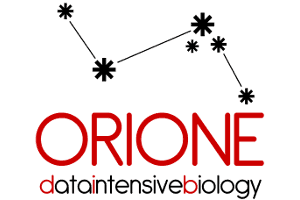 Orione