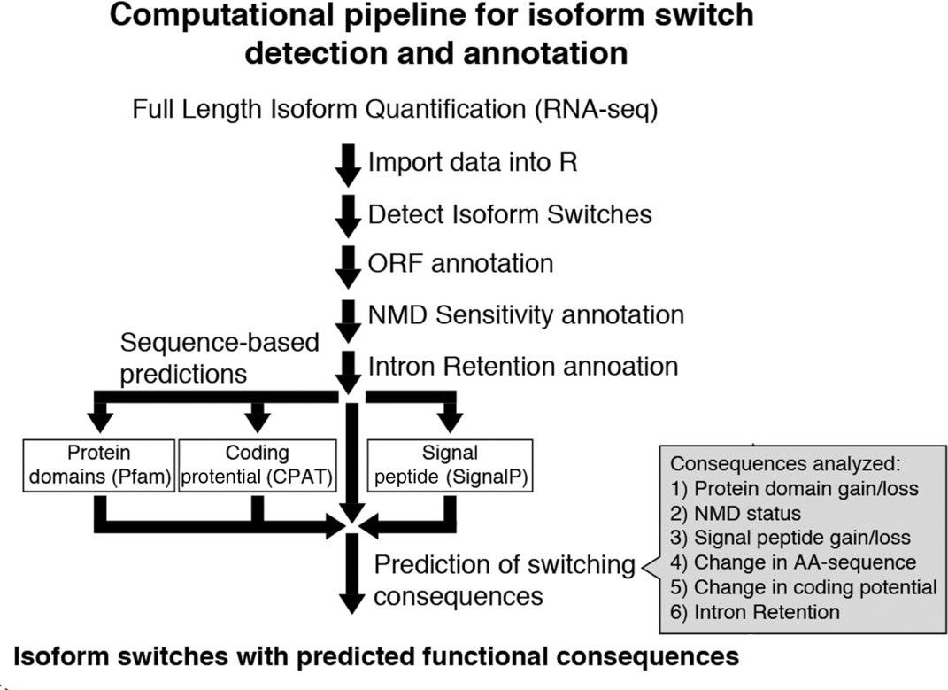 Overview of computational pipeline for isoform detection and functional prediction. Adapted from Vitting-Seerup et Sandelin, 2017.