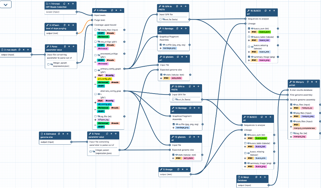 Genome assembly workflow