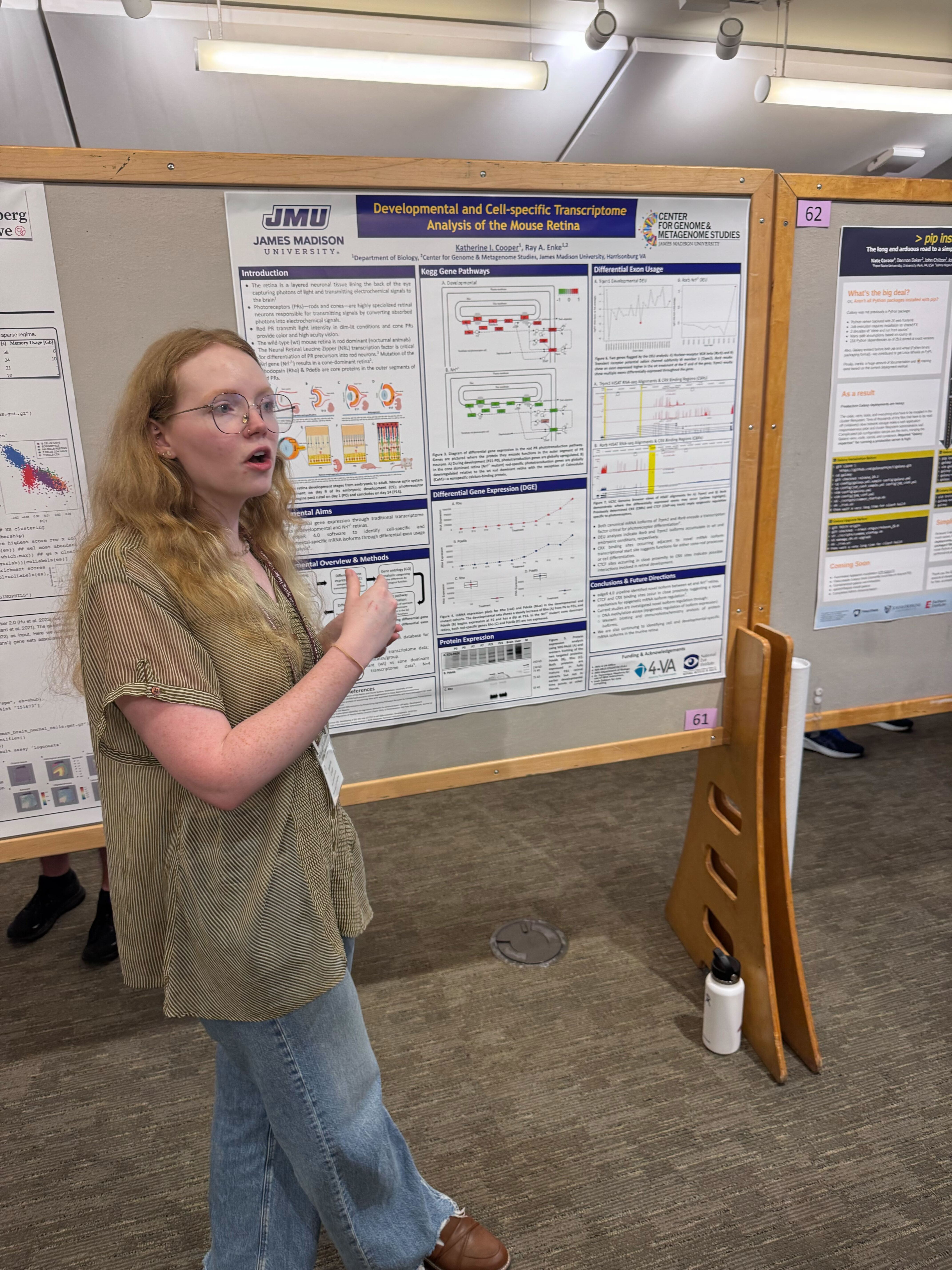 Poster 3